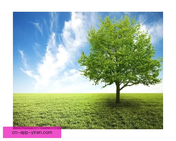 嫩草嫩草嫩草：生命最初的嫩绿，点亮生活的无限可能